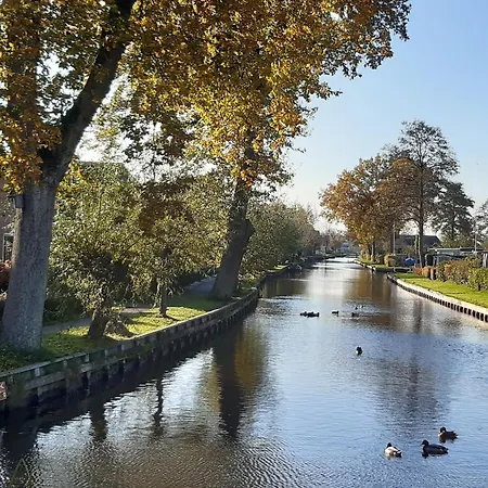 B&B de Zilverreiger-3